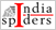 India Spiders