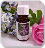 Aromatic Chemicals Exporters, India Aroma Chemicals Suppliers, Pure Aromatic Chemicals Exporters, Organic Aromatic Chemicals, India