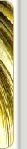 Brass Wires India, Hard Brass Wires Suppliers, India Fine Brass Wires Exporters, Gauge Brass Wires Manufacturers